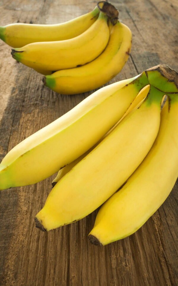 13929355 Les Jardins d'Eden Bananes