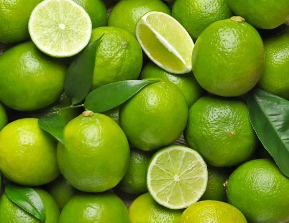 5380 1 citrons verts lime 3 fruits 200genviron 61559 Les Jardins d'Eden Citrons Verts