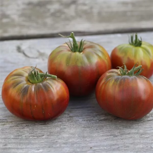 Tomates Noires – Image 2