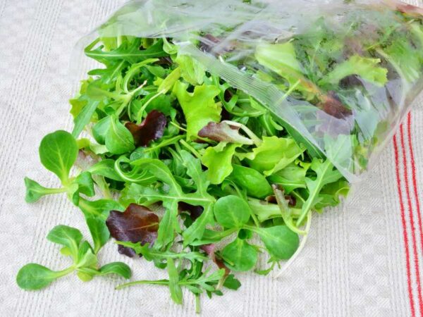 Salade en sachet1 Whiteaster stock.adobe .com 800 1 Les Jardins d'Eden Salade Sachet