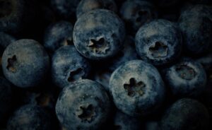 blueberries, soft fruit, blue fruits