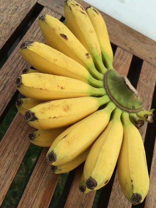 fruit 1404919 960 720 Les Jardins d'Eden Mini Bananes