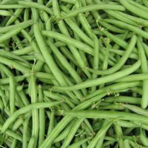 haricots verts fins