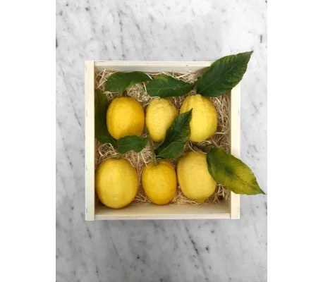 Citrons De Provence – Image 2