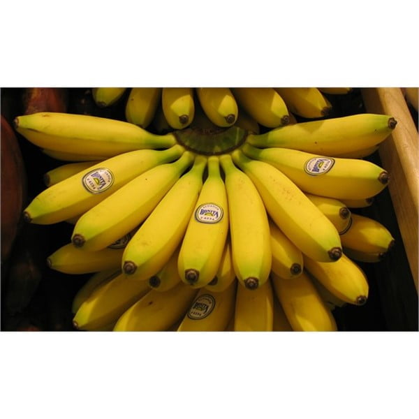 mini banane 1 Les Jardins d'Eden Mini Bananes
