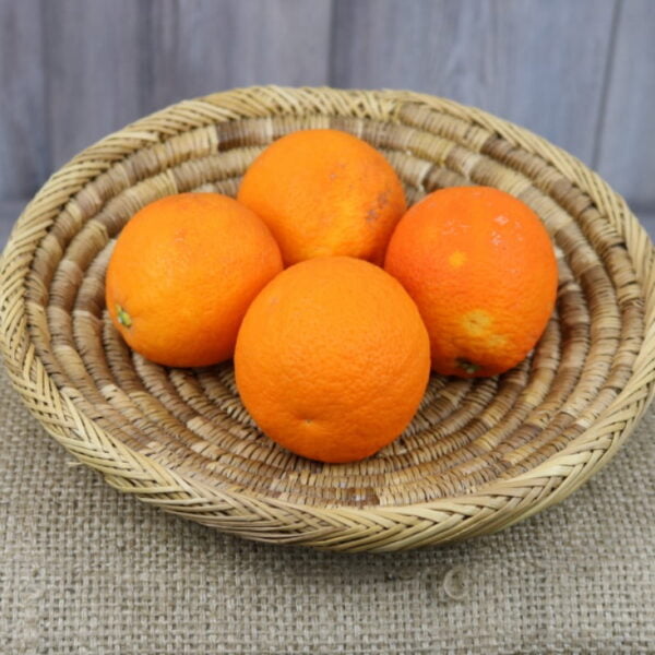 oranges maltaise bio x4 tyvgt 1 Les Jardins d'Eden Oranges Maltaises