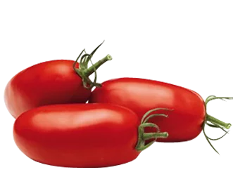 tomate torino 1 Les Jardins d'Eden Tomates Torino